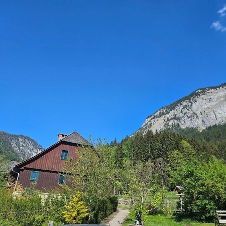 Premium Apartment Mit Privatem Whirlpool, Sauna, Garten Sankt Martin am Grimming Luaran gambar