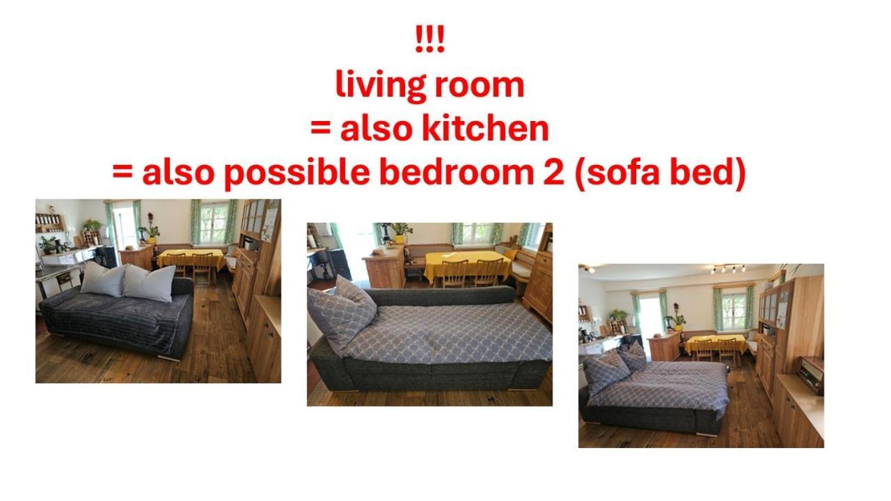 Premium Apartment Mit Privatem Whirlpool, Sauna, Garten Sankt Martin am Grimming Luaran gambar